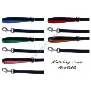 Ace Comfy Matching Leather Lead with PADDED Leather Handle ~ length 44" (10 Colors)